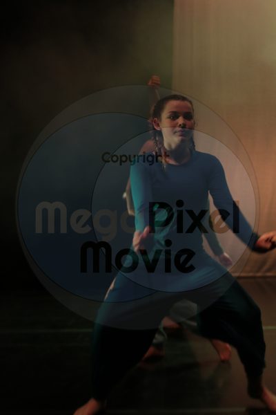 Dorothy Stringer Show - Image 7149