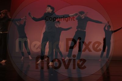 Dorothy Stringer Show - Image 25111