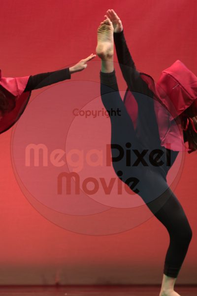 Let's Dance - Image 3146