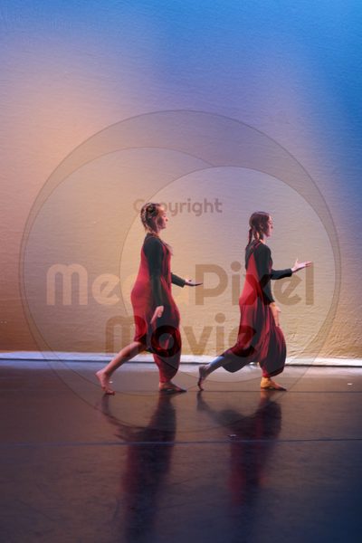 Dorothy Stringer Show - Image 9020