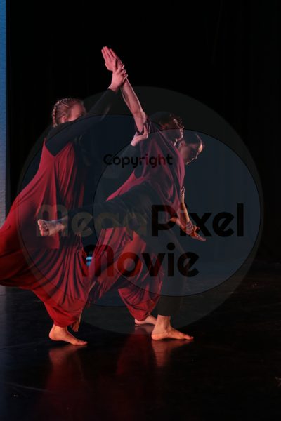 Dorothy Stringer Show - Image 9042
