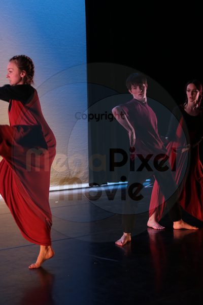Dorothy Stringer Show - Image 9045
