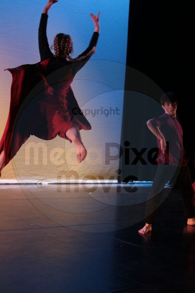 Dorothy Stringer Show - Image 9046