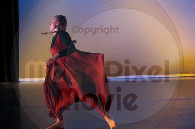 Dorothy Stringer Show - Image 9049