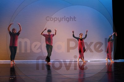 Dorothy Stringer Show - Image 9135