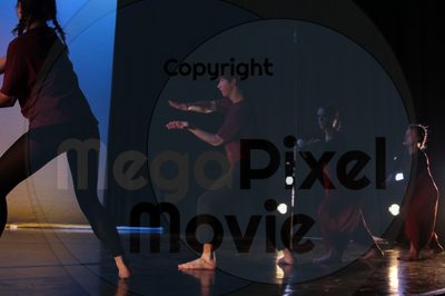 Dorothy Stringer Show - Image 9156