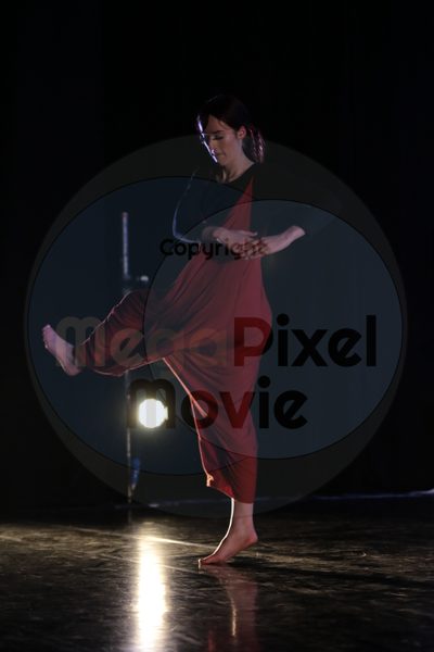 Dorothy Stringer Show - Image 9218