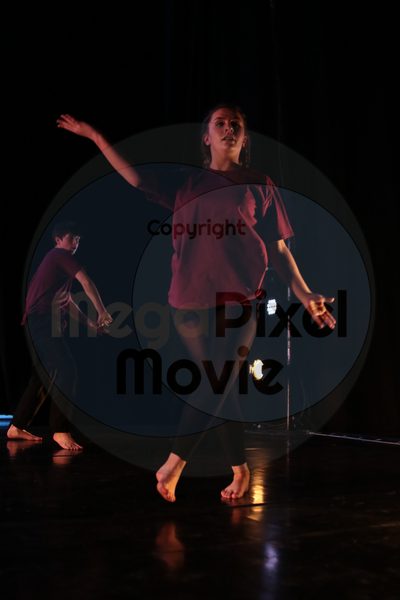 Dorothy Stringer Show - Image 9237