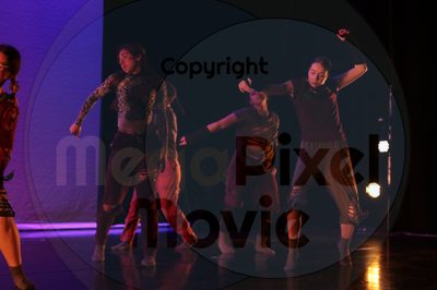 Dorothy Stringer Show - Image 9406
