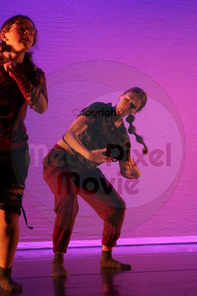 Dorothy Stringer Show - Image 9496