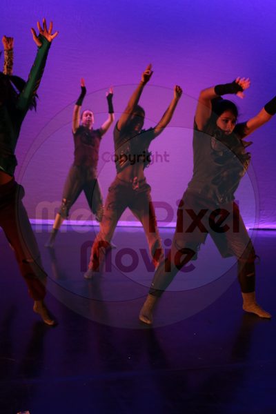 Dorothy Stringer Show - Image 9537