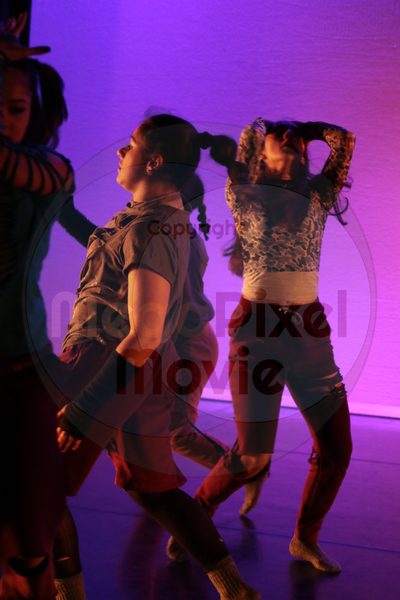 Dorothy Stringer Show - Image 9609