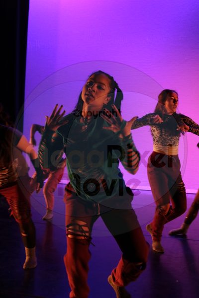 Dorothy Stringer Show - Image 9611