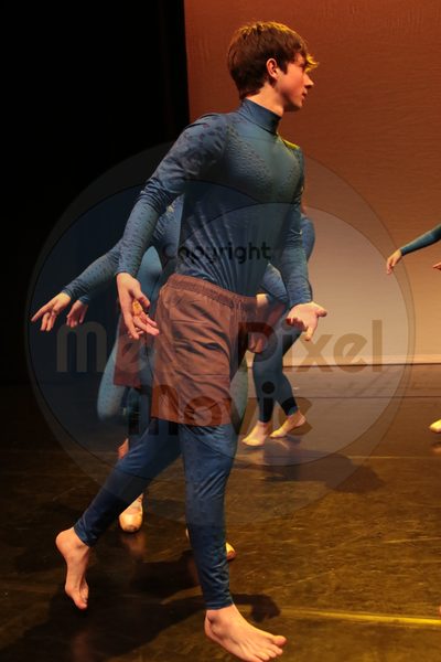 Dorothy Stringer Show - Image 6455