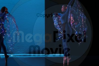 Dorothy Stringer Show - Image 6612