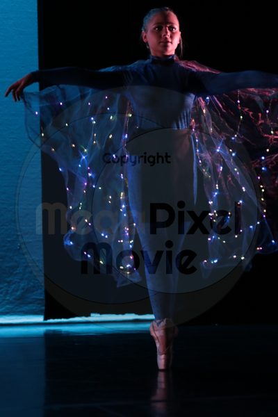 Dorothy Stringer Show - Image 6616