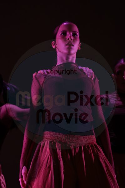 Let's Dance - Image 696A7465