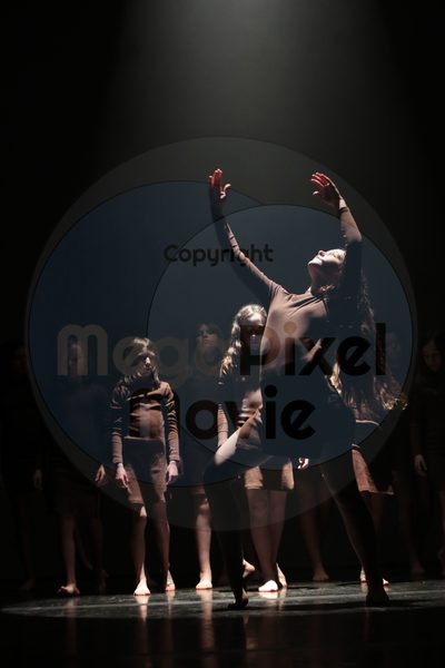 Let's Dance - Image 4309