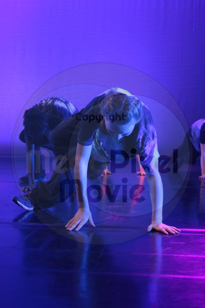 Let's Dance - Image 0487