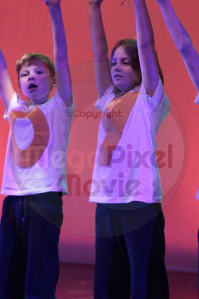 Let's Dance - Image 2990