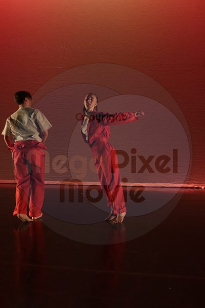 Dorothy Stringer Show - Image 6741