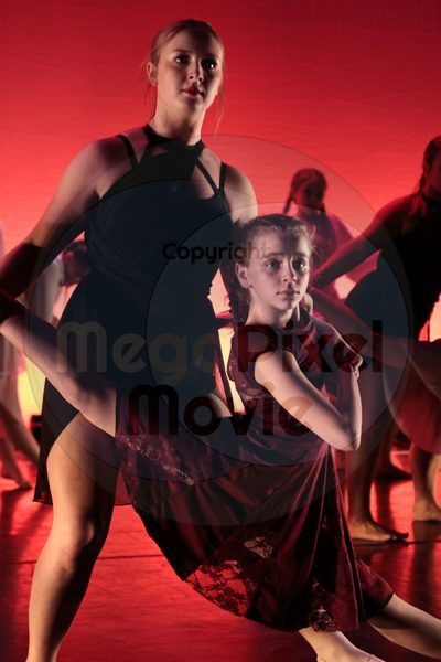 Let's Dance - Image 696A8268