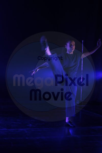 Let's Dance - Image 33101
