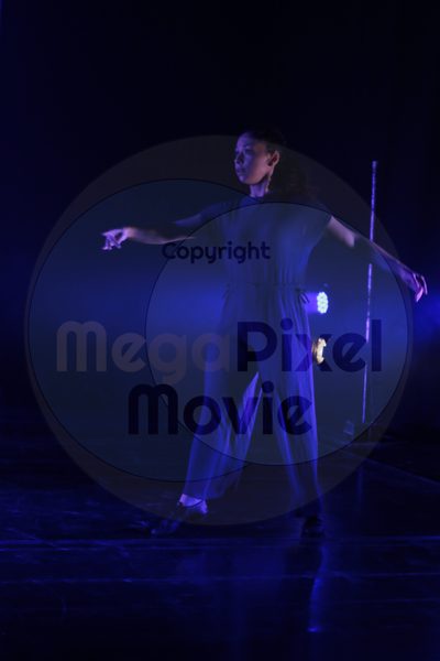 Let's Dance - Image 3312