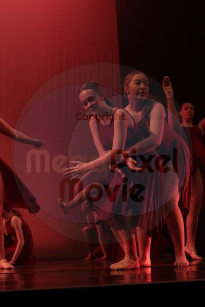 Let's Dance - Image 3467