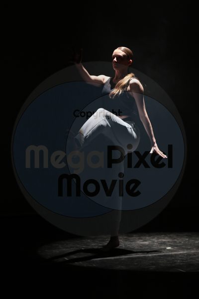 Let's Dance - Image 41722
