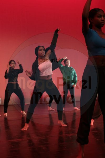 Let's Dance - Image 4243