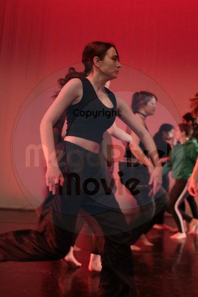 Let's Dance - Image 42801