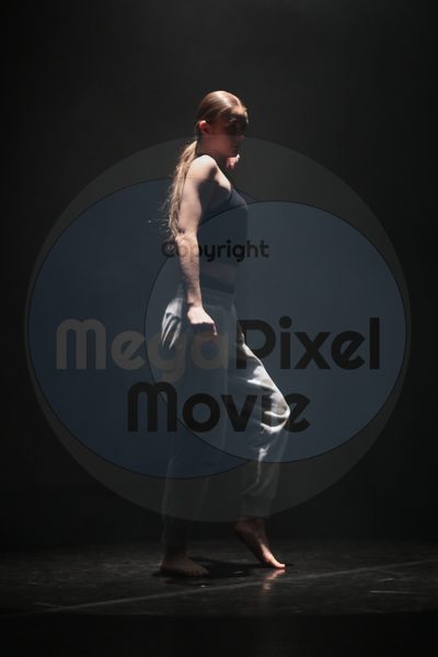 Let's Dance - Image 44701