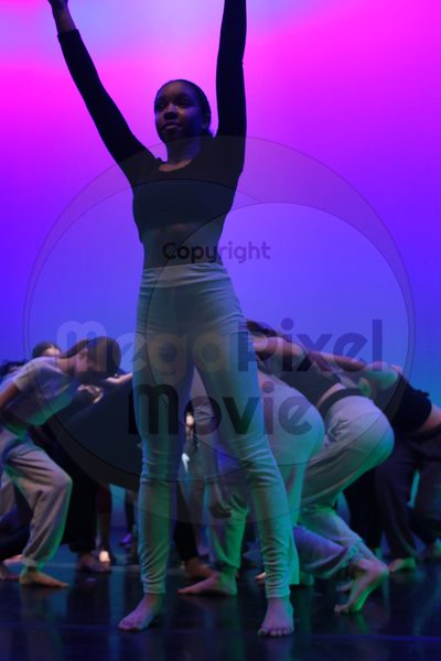 Let's Dance - Image 4799