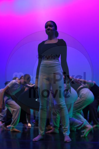 Let's Dance - Image 4802