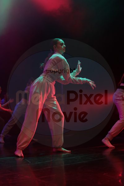 Let's Dance - Image 4813
