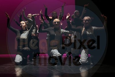 Dorothy Stringer Show - Image 7266