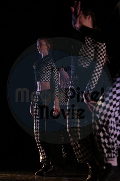 Dorothy Stringer Show - Image 7360