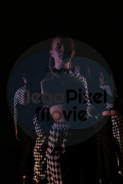 Dorothy Stringer Show - Image 7594