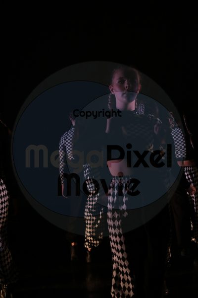 Dorothy Stringer Show - Image 7595