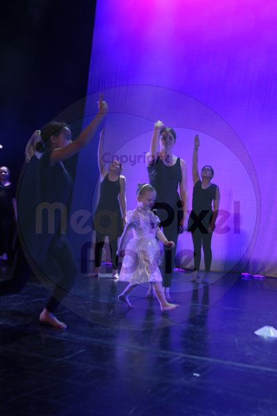 Let's Dance - Image 4599