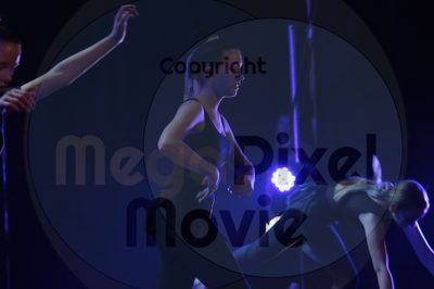 Let's Dance - Image 4805
