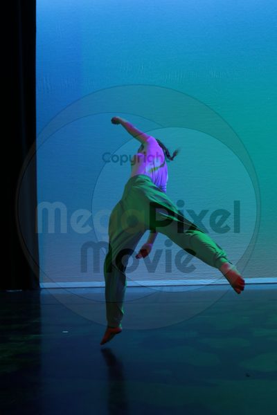 Dorothy Stringer Show - Image 7662