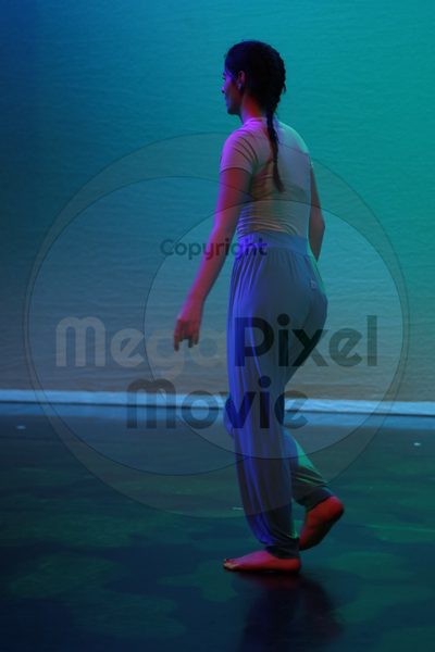 Dorothy Stringer Show - Image 7681
