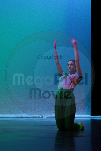 Dorothy Stringer Show - Image 7785