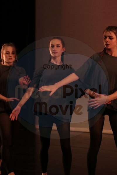 Dorothy Stringer Show - Image 8325