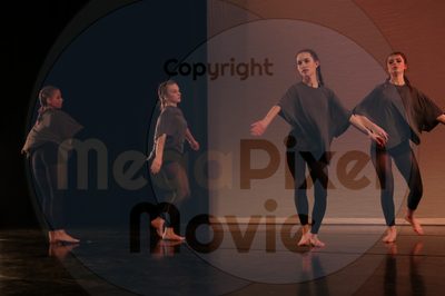 Dorothy Stringer Show - Image 8341
