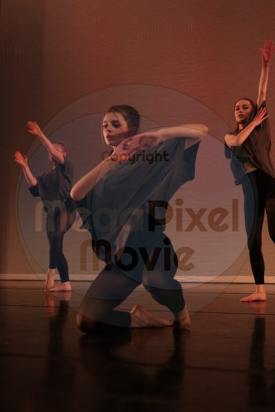 Dorothy Stringer Show - Image 8408
