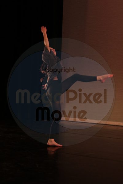 Dorothy Stringer Show - Image 8461