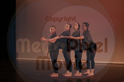 Dorothy Stringer Show - Image 8529